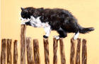 Cat on fence